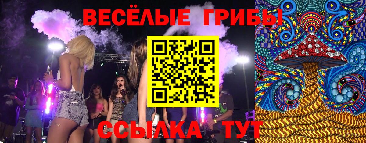 Галлюциногенные грибы Magic Shrooms  Псилоцибиновые грибы ЛСД  Вход с VPN  Удомля 